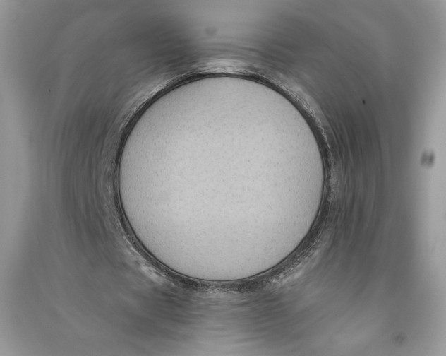 X0000090710529200708101507