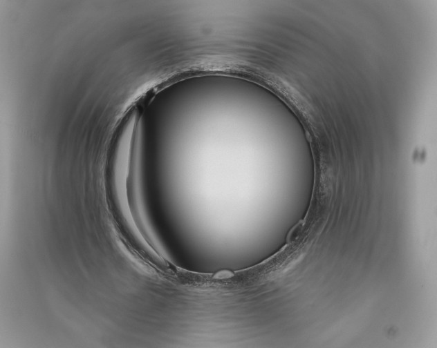 X0000090710530200708101507