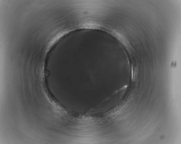 X0000090710531200708101507