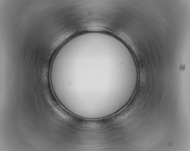 X0000090710533200708101507