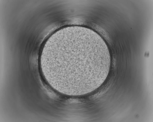 X0000090710534200708101507