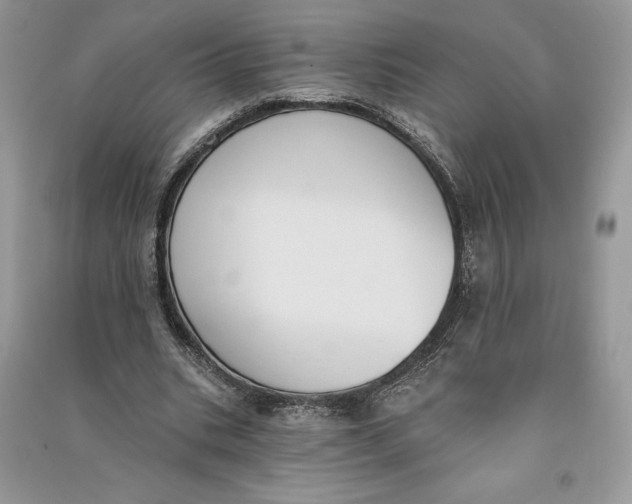 X0000090710535200708101507