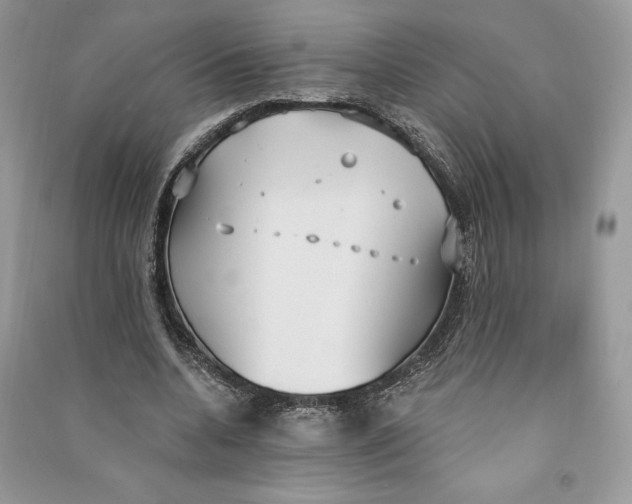 X0000090710536200708101507