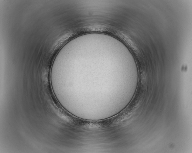 X0000090710537200708101507