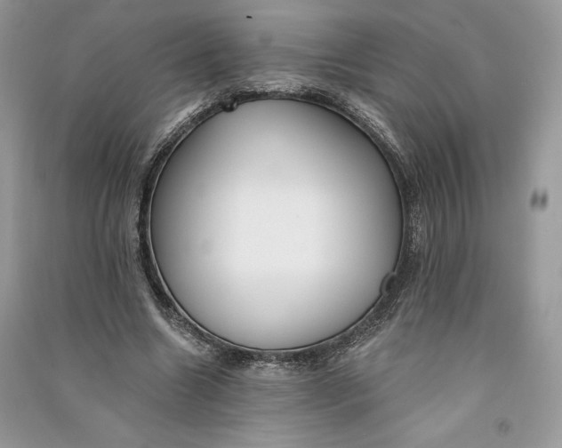 X0000090710538200708101507