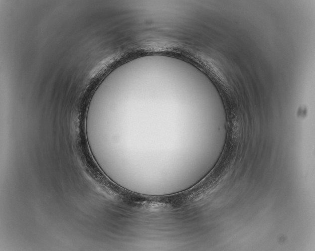 X0000090710539200708101507