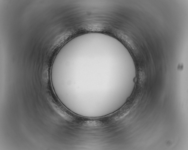 X0000090710541200708101507