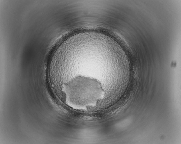 X0000090710542200708101507