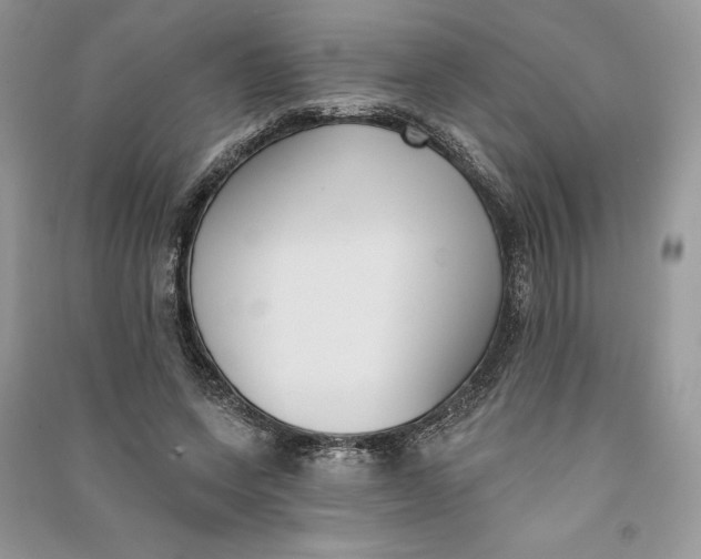 X0000090710543200708101507