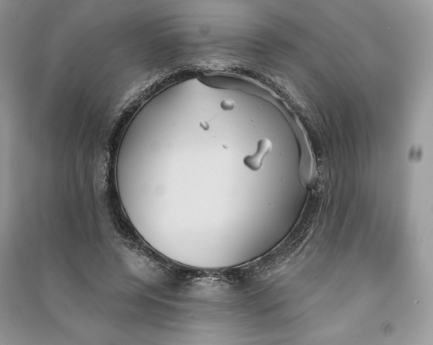 X0000090710544200708101507