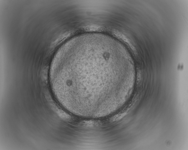 X0000090710545200708101507