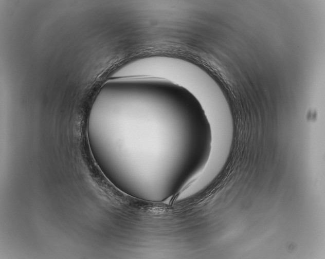 X0000090710546200708101507