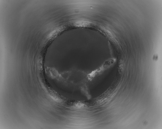 X0000090710547200708101507