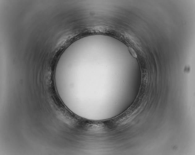 X0000090710548200708101507