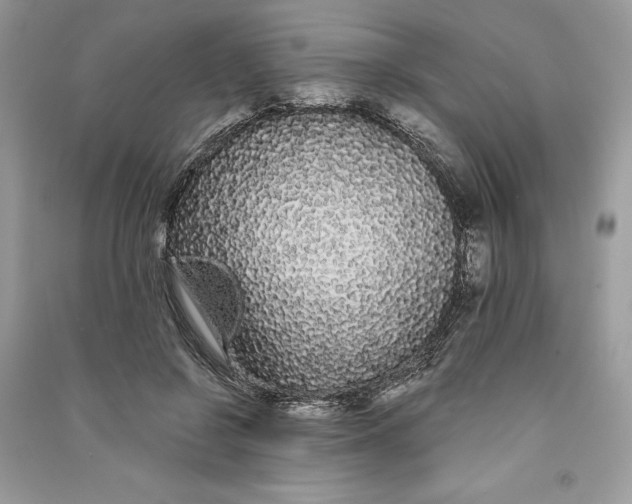 X0000090710550200708101508