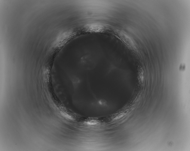 X0000090710551200708101508