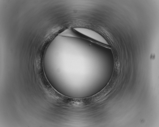 X0000090710552200708101508