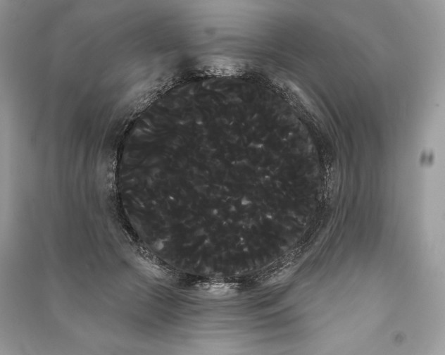 X0000090710553200708101508