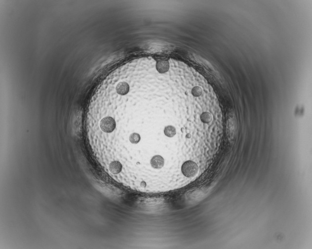 X0000090710554200708101508