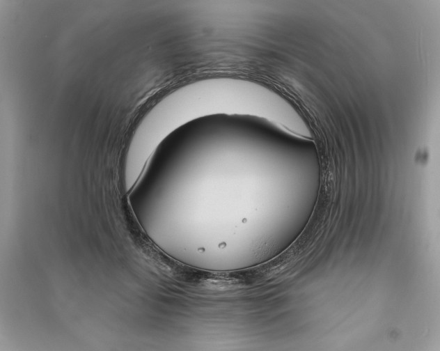 X0000090710556200708101508