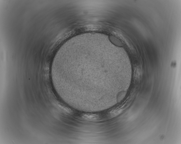 X0000090710557200708101508