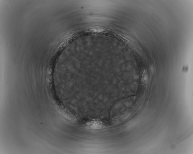 X0000090710559200708101508