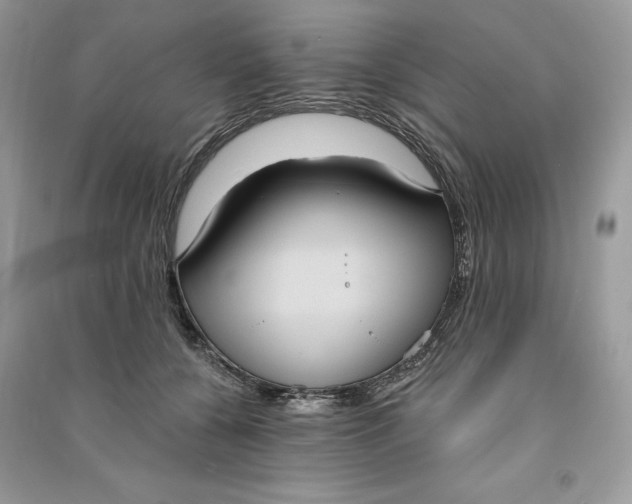 X0000090710560200708101508