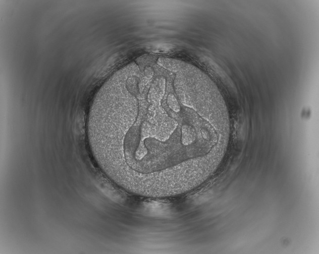 X0000090710561200708101508