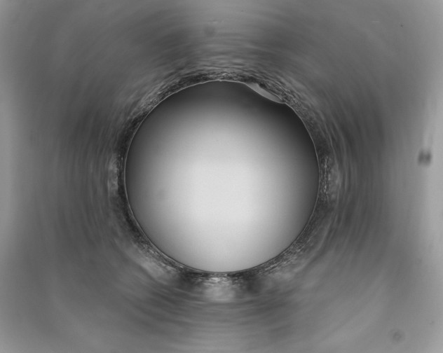 X0000090710562200708101508