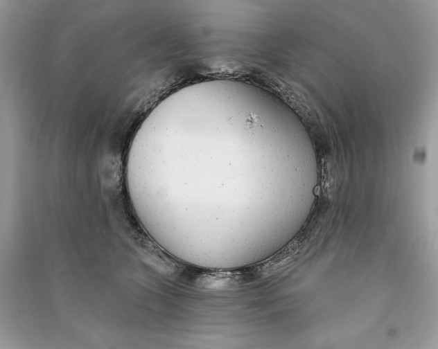 X0000090710563200708101508