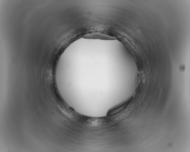 X0000090710564200708101508