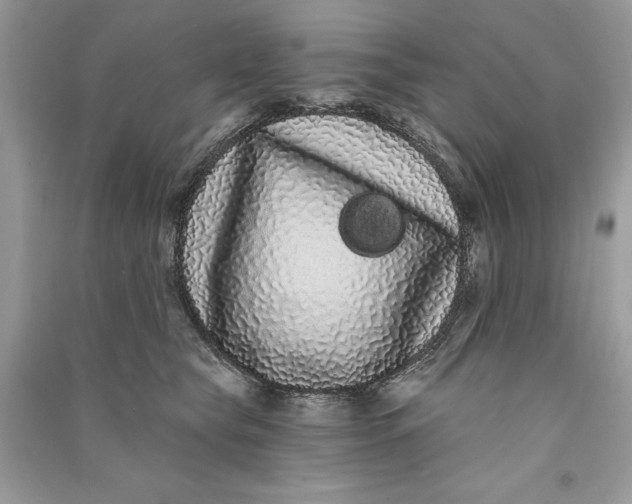 X0000090710565200708101508