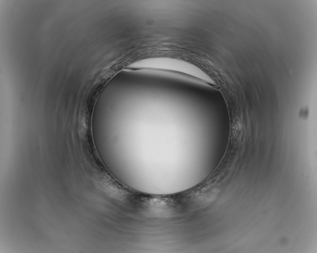 X0000090710566200708101508