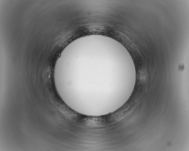 X0000090710567200708101508