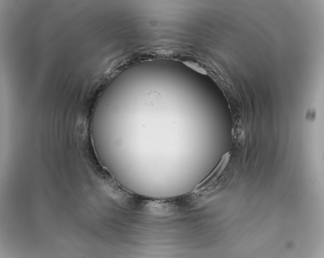 X0000090710568200708101508