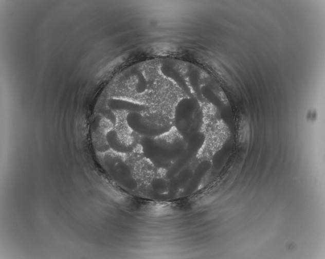 X0000090710569200708101508