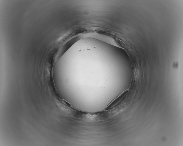 X0000090710570200708101508