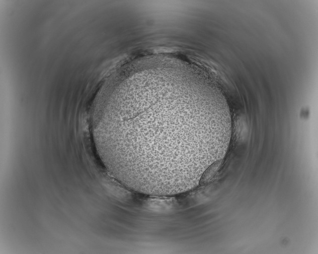 X0000090710571200708101508