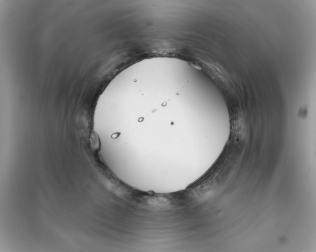 X0000090710572200708101508