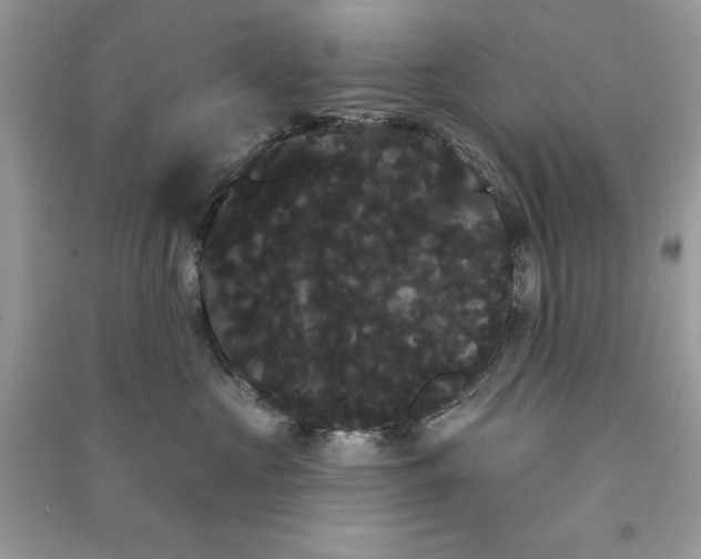 X0000090710573200708101508