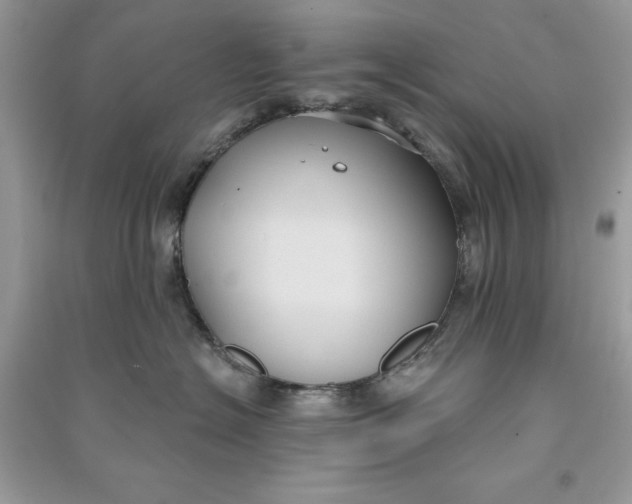 X0000090710574200708101508