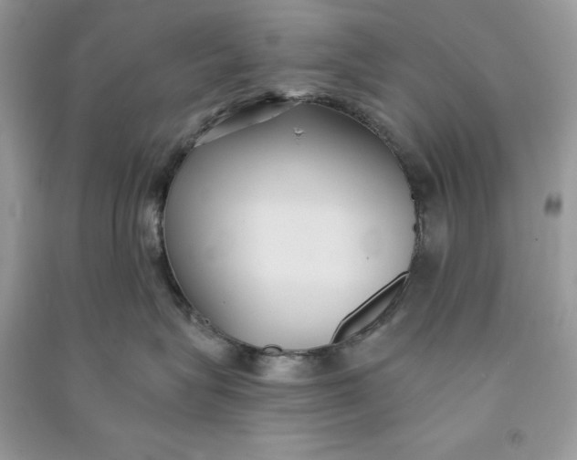 X0000090710575200708101508