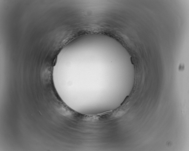 X0000090710576200708101508