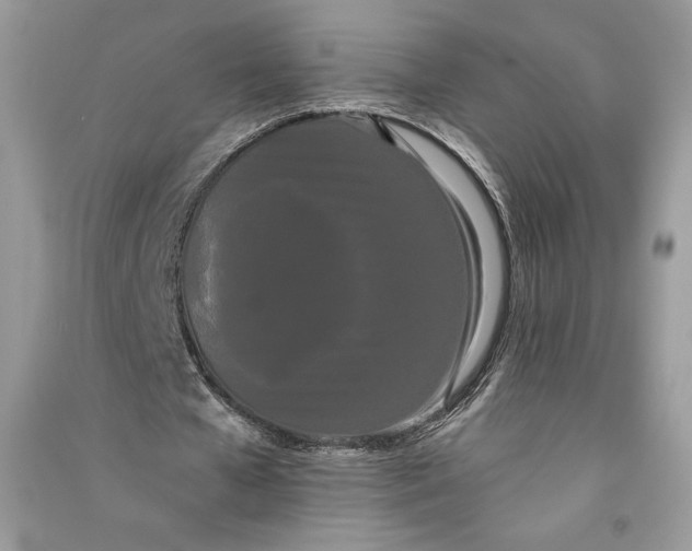 X0000090710577200708101507