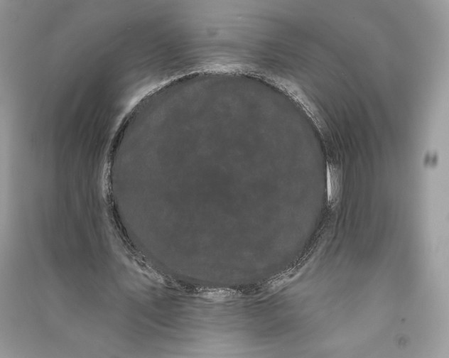 X0000090710579200708101507