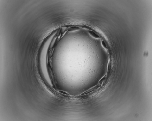 X0000090710581200708101507