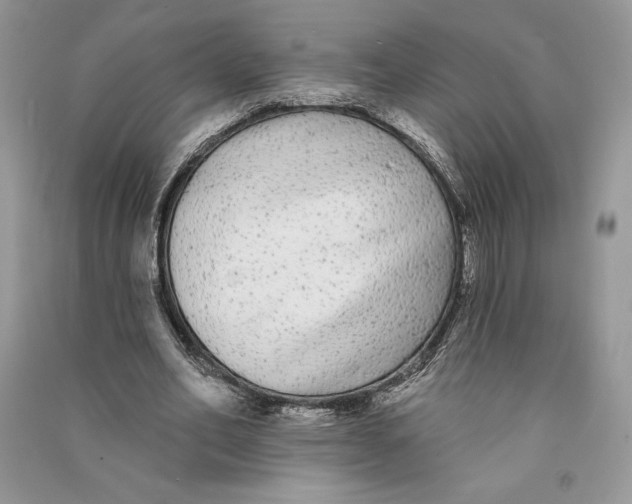 X0000090710582200708101507