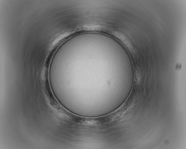 X0000090710583200708101507