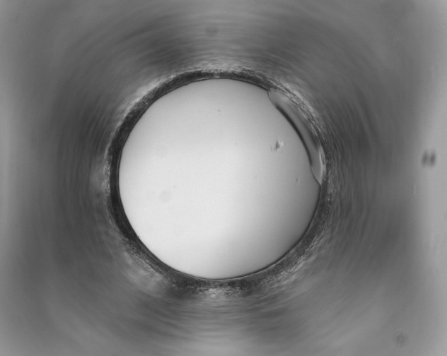 X0000090710584200708101507