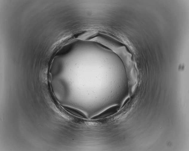 X0000090710585200708101507